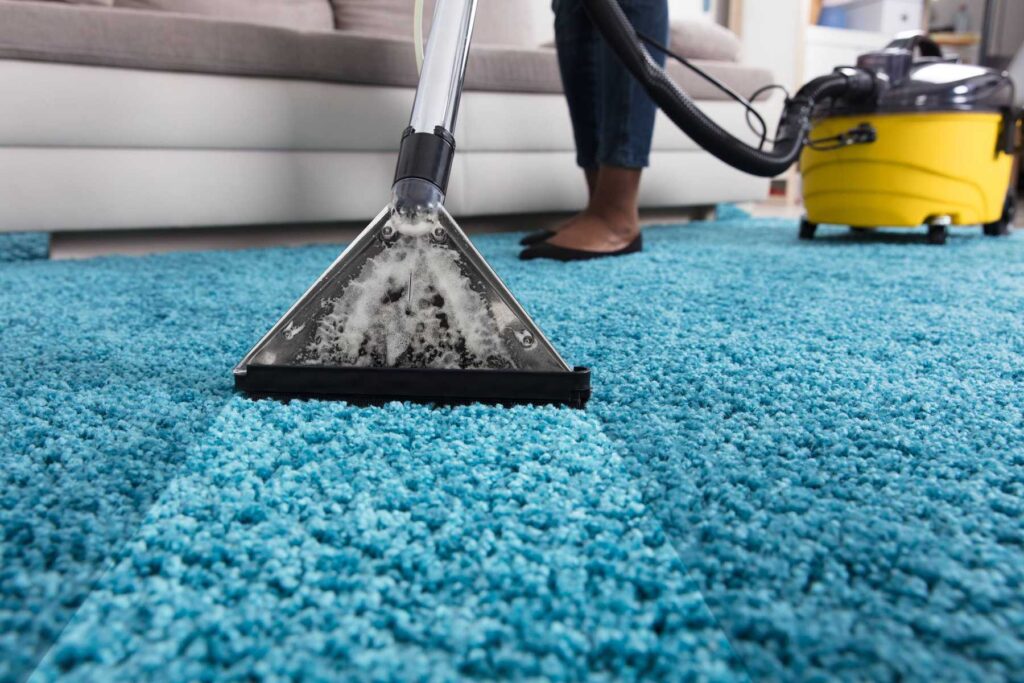 carpet & rug cleaning